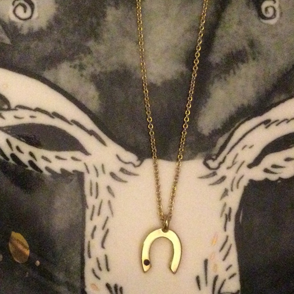 NWOT Anthro Diamond Horseshoe Necklace